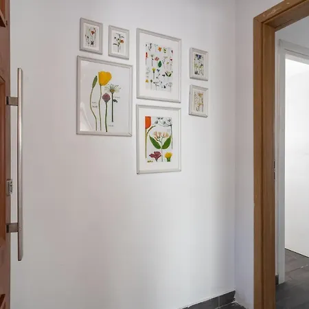 شقة Fiesta 1-bedroom In